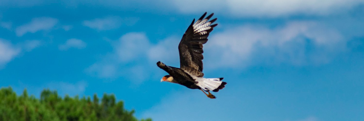 Fernando Fonseca banner