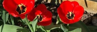 MWynn1's profile banner image