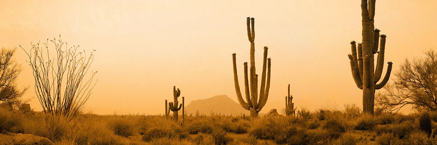 Small Axe Talks banner