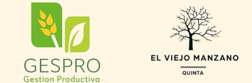 miguicho22's profile banner image