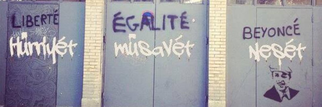 sirin saygili banner