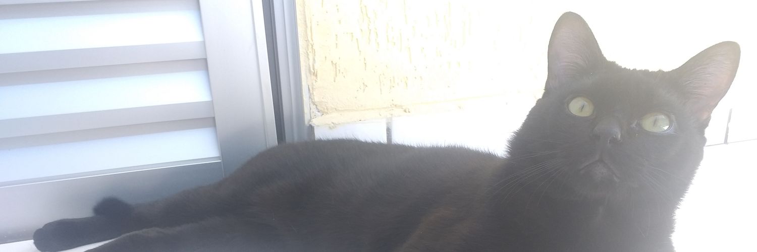 Evelyn Estefani banner