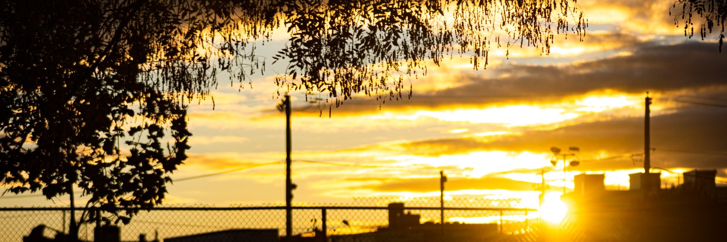 Daisie Cardona banner