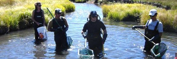 nmsu_fwce Profile Banner
