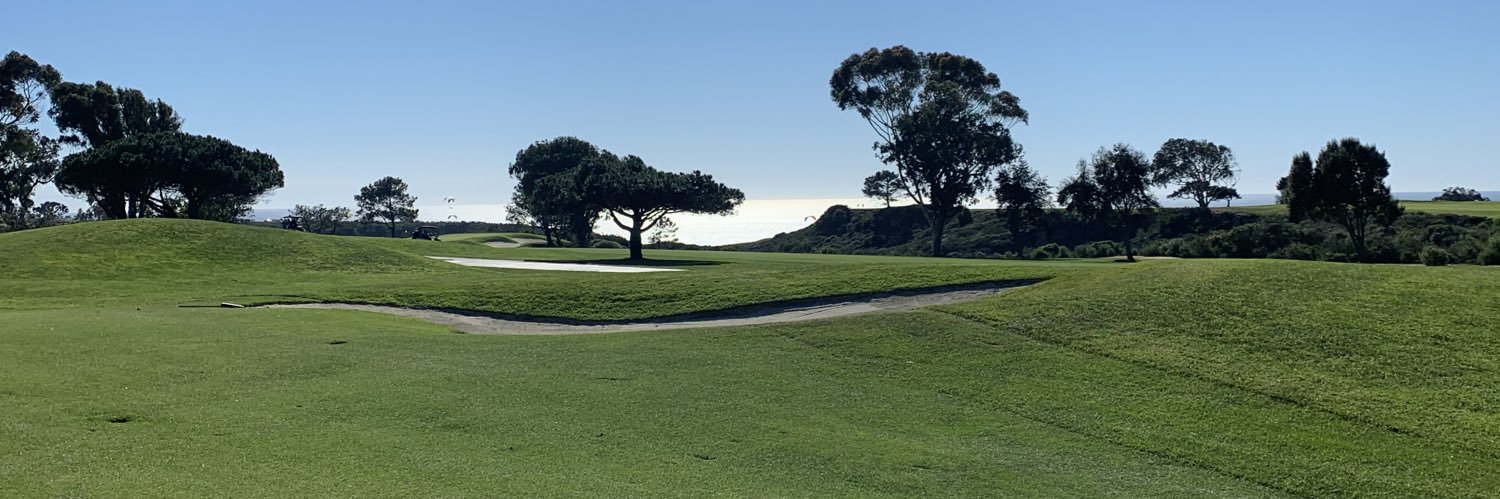 Dacula Falcons Golf banner