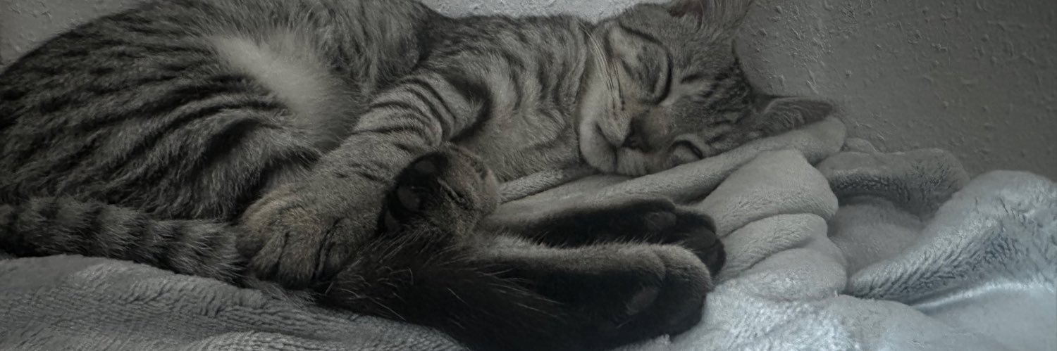 Av1lioo's profile banner image