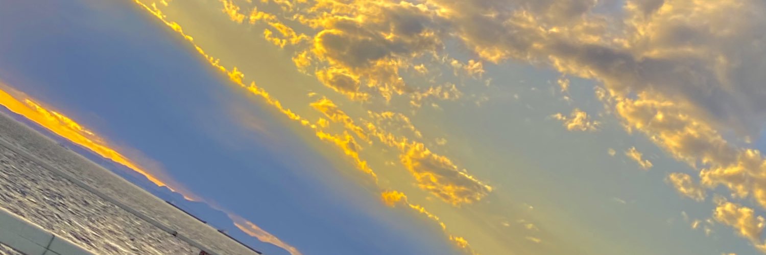 はる banner