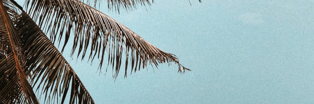 Liwoa's profile banner image