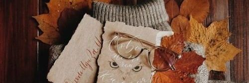 poviolivia's profile banner image