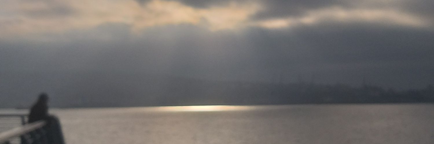 hellpolo's profile banner image