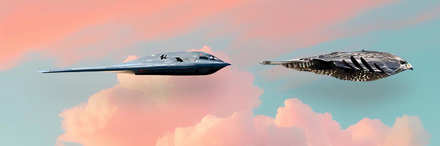 Andrei Miclea banner