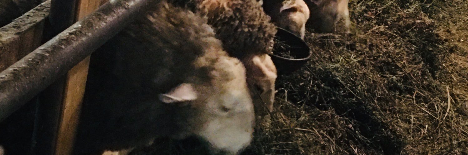 Michael Richards banner