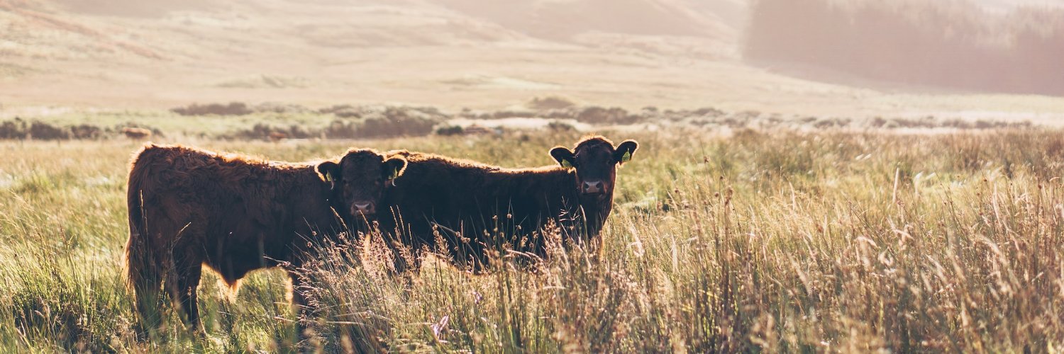 Real Farming Trust Profile Banner