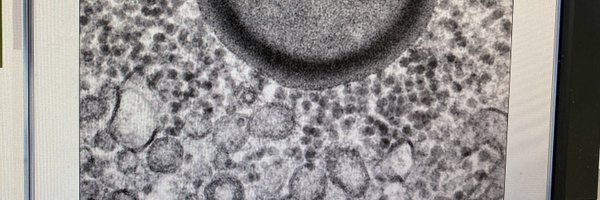 MasonSweatPhD Profile Banner