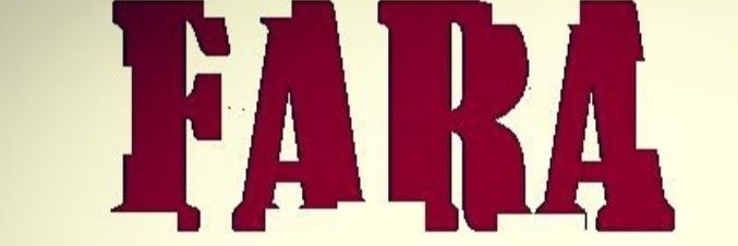 READYSCAPACITA2♿👌 banner