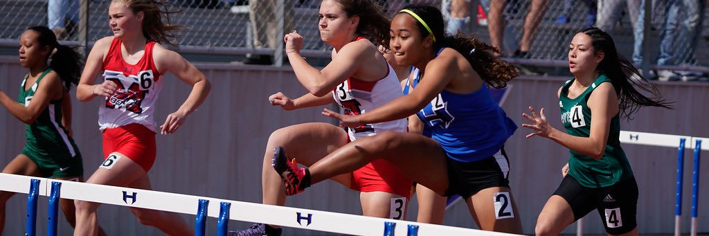 Daniela Pruitt banner