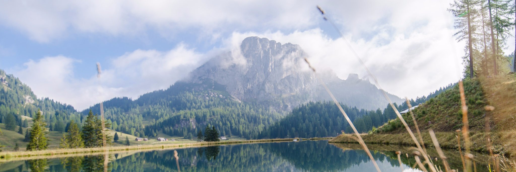 Simon Voss banner