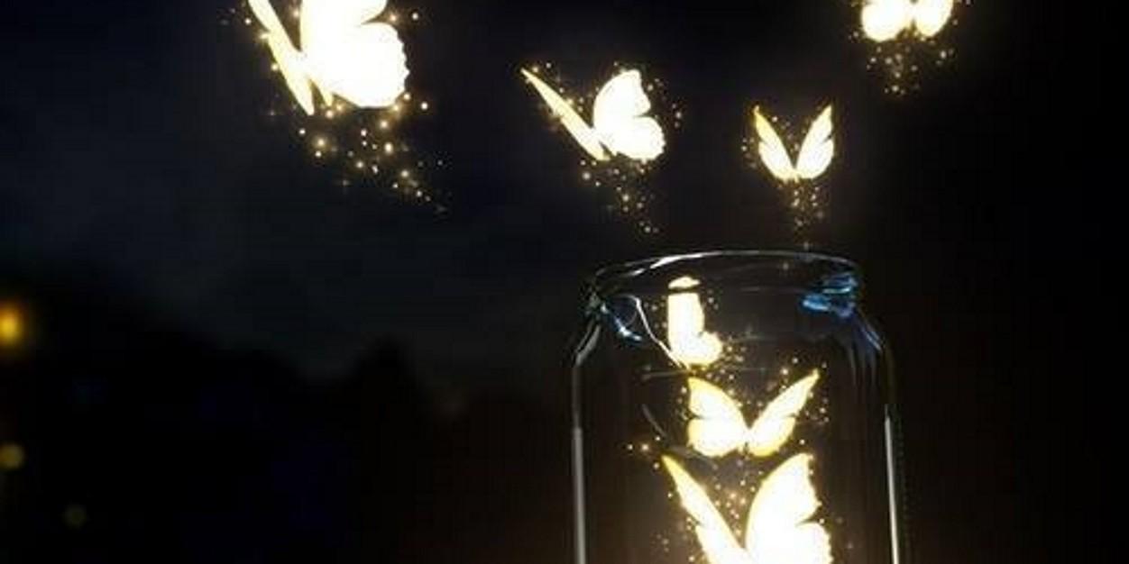 dudiani's profile banner image