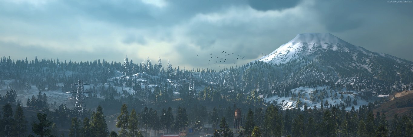 beakperson's profile banner image