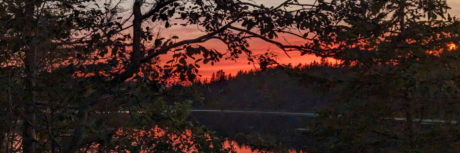 gregdferrell's profile banner image