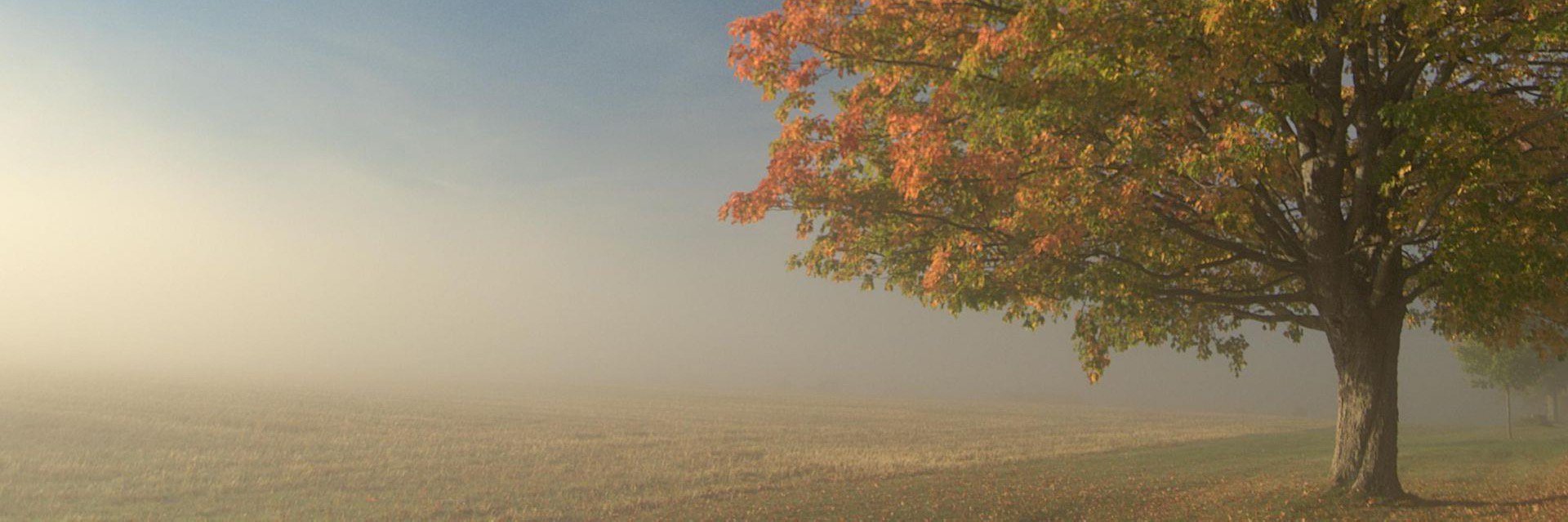 SIAQinc's profile banner image