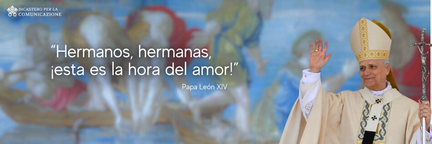 Vatican News's banner
