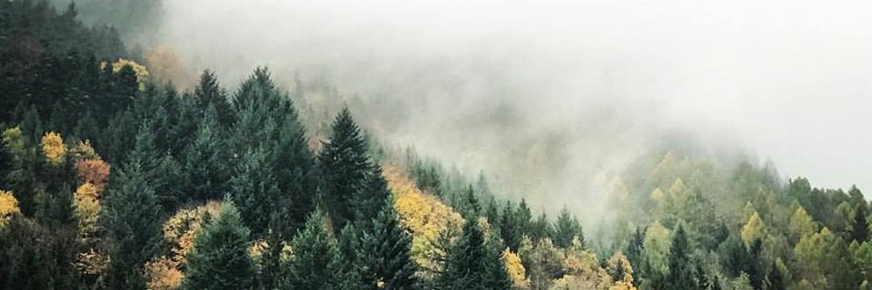 Zack Keller banner