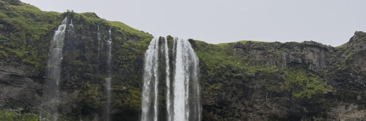 The Hon. Tony Clement banner