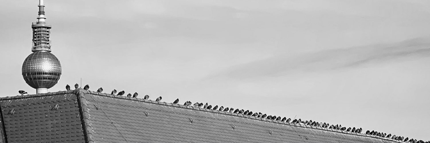 Janosch Delcker banner