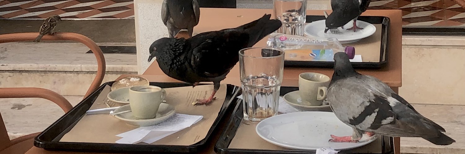 epleblomst's profile banner image