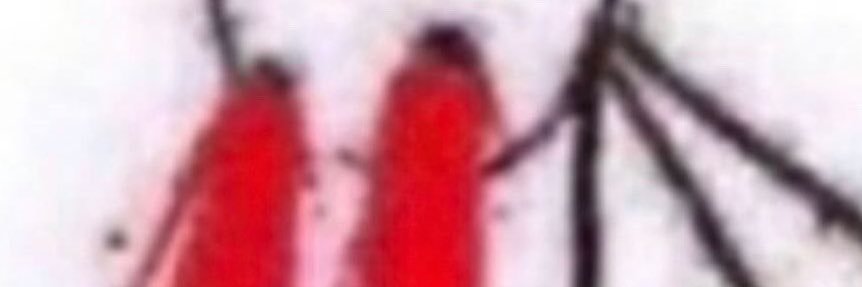 PASTAFOREVR's profile banner image