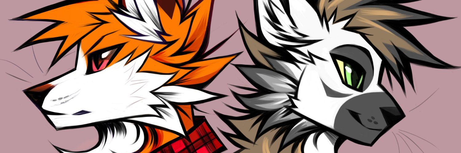 SunnyFox__'s profile banner image