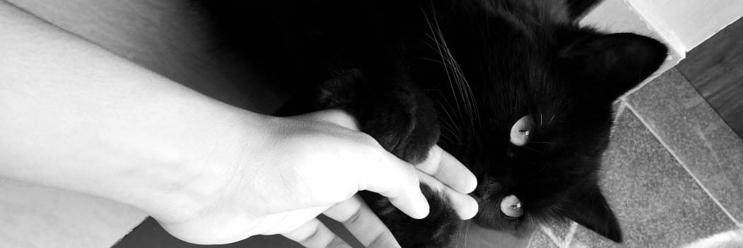 Sheetal Singh banner