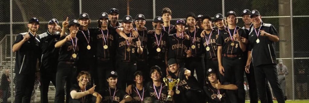 Countryside Baseball banner