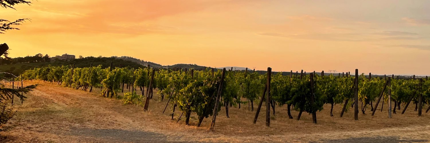 Francesca Fiori banner