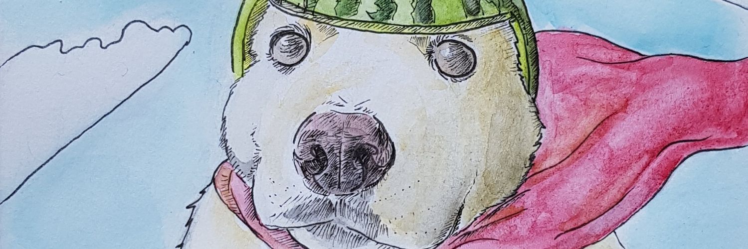LentillesCorail's profile banner image