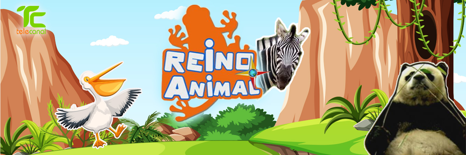 Telecanal banner