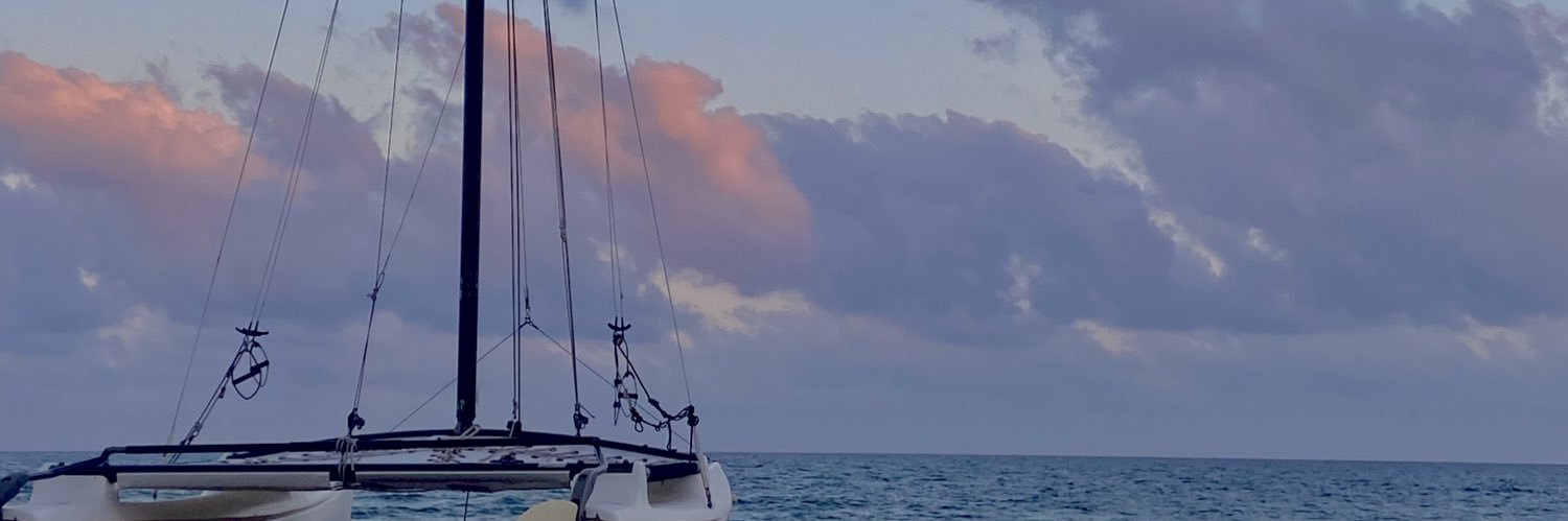 lauraasena's profile banner image