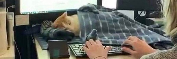 severalbaps Profile Banner