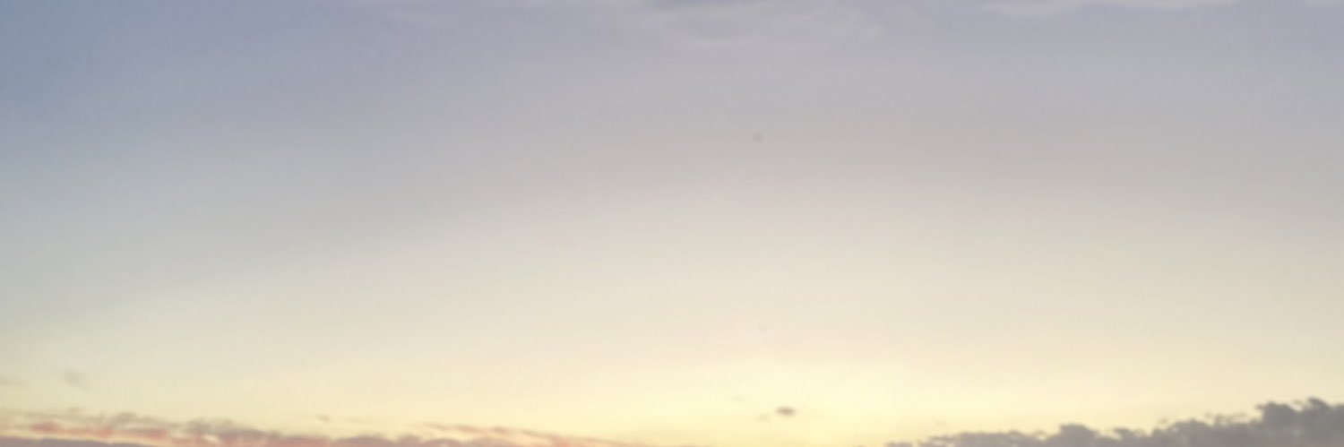 mineenurrr's profile banner image