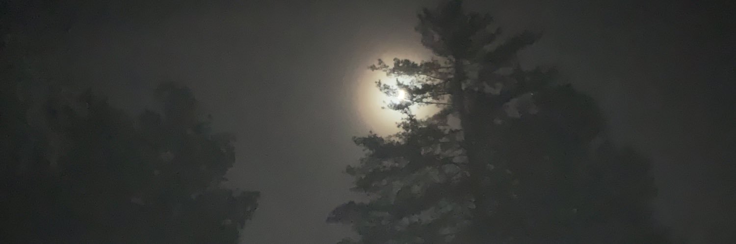 FalLives's profile banner image