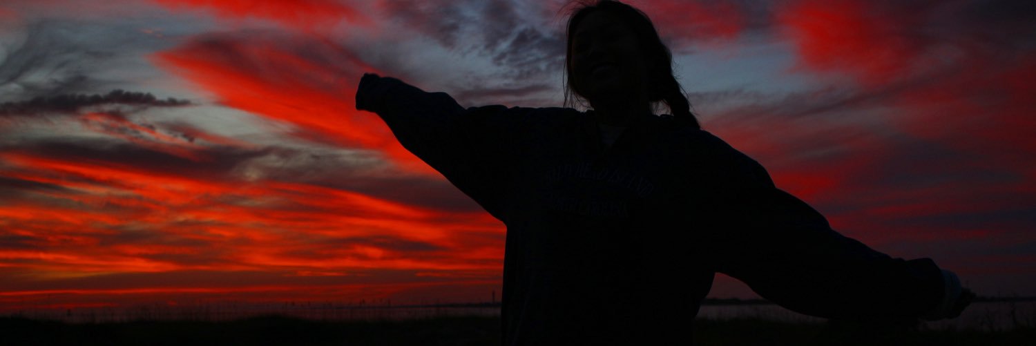 littlevickers's profile banner image