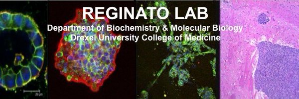 LabReginato Profile Banner