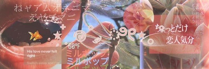 ˙˖°Luli ࣭03⭑ banner