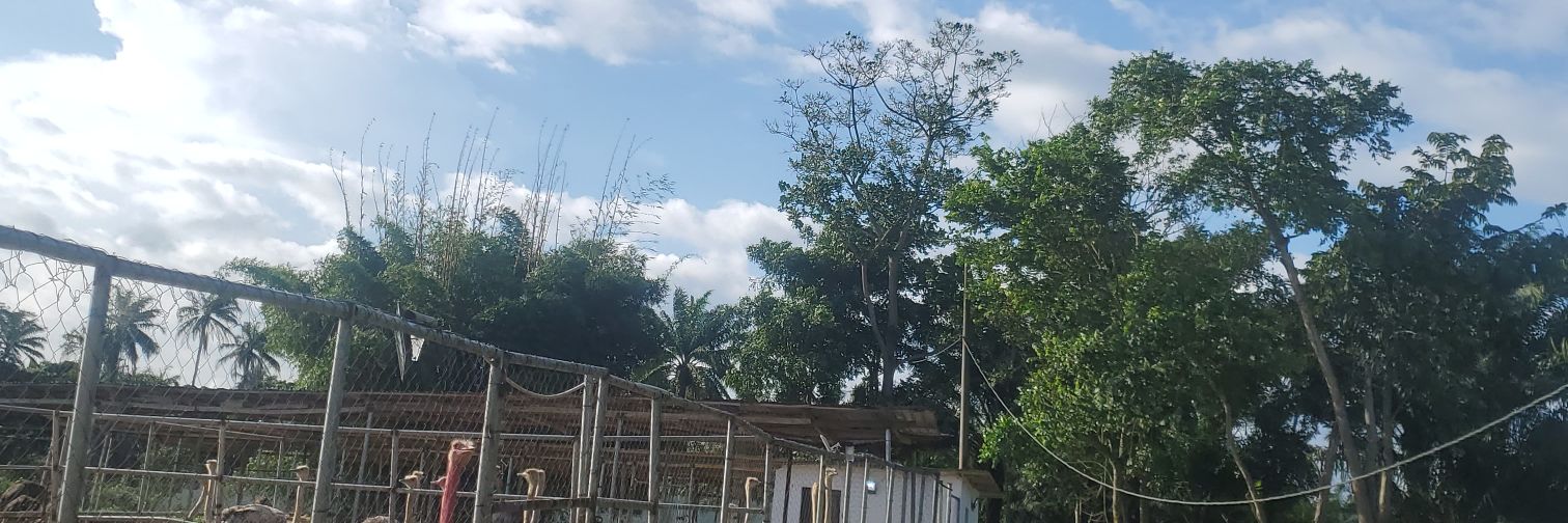 ìrìnàjò sínú Yorùbá banner