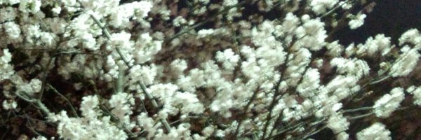 conciliation Profile Banner