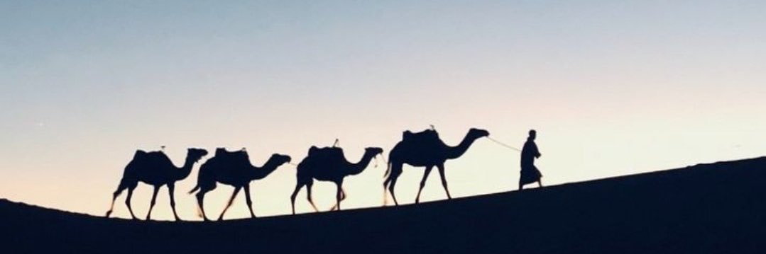 عايش banner