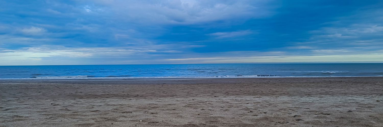 frannservidio's profile banner image