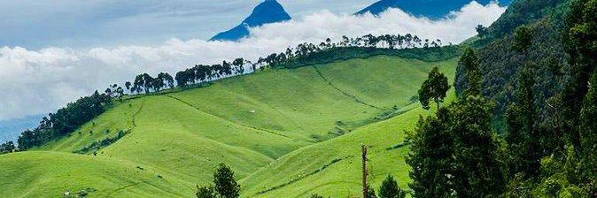 Mugisha Pacifique banner