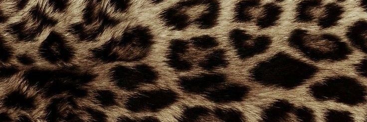 aamitheutic's profile banner image